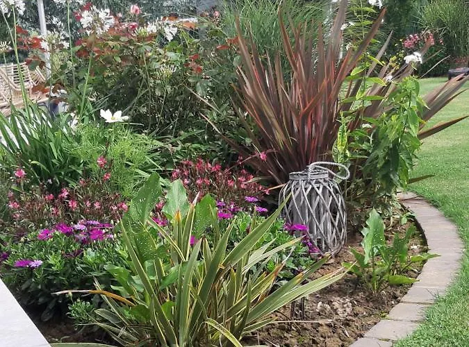 L'olivier Homestay *