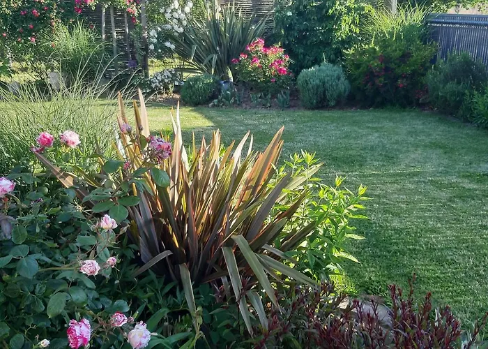 L'olivier Beuzeville